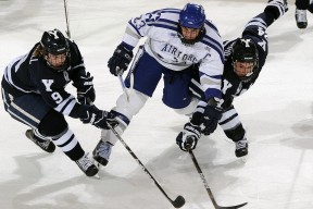 开云官网在线-五大联赛季中期俱乐部健康组负荷管理策略